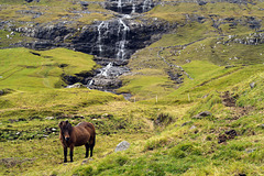 Faroe Islands, Streymoy, Saksun