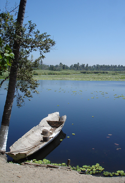 Andador laguna del tule / No-15