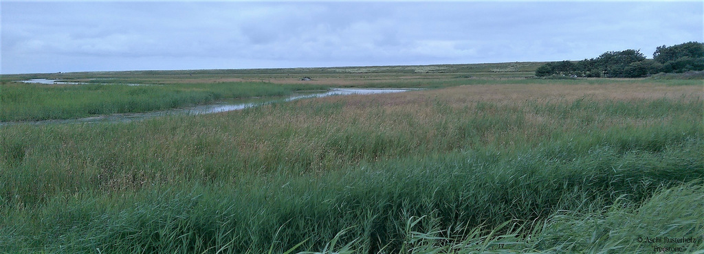 Bike Netherlands/  Texel