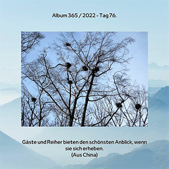 Album 365 / 2022 - Tag 76.