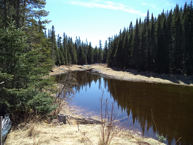 Beauté sauvage du Nouveau-Brunswick