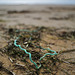 Monte Gordo Beach, Blue rope