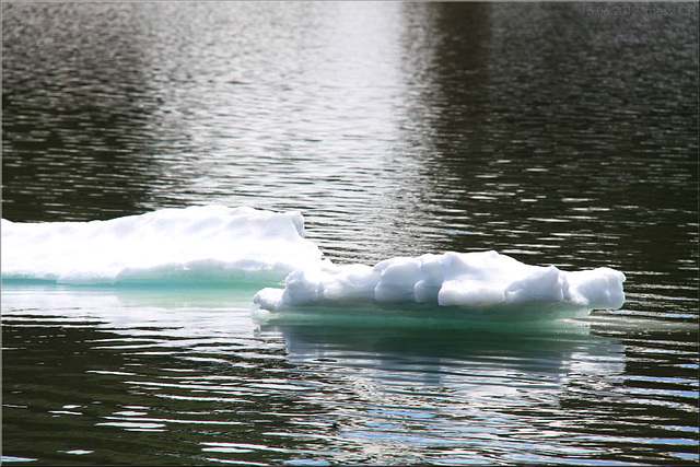 Arctica in Switzerland?