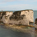 The Old Harry rocks