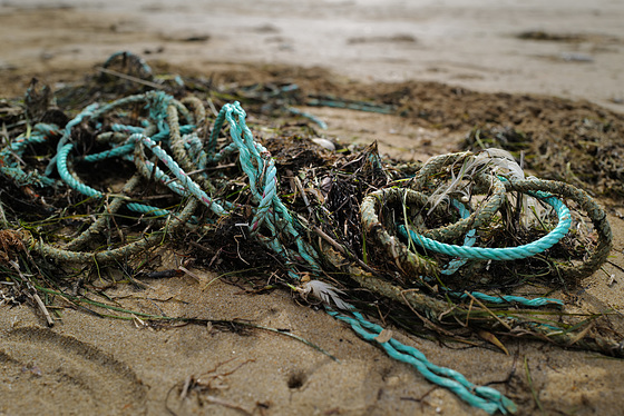 Monte Gordo Beach, Blue rope