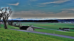 Benken ZH / Blick zu den Glarneralpen