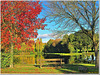 Colourful place at the village pond - HBM