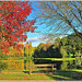 Colourful place at the village pond - HBM