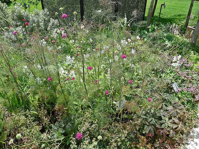 Bienen Paradies