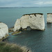 The Old Harry rocks