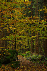 Herbstweg