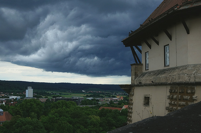 Das Auge - the eye