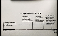 Age of modern humans