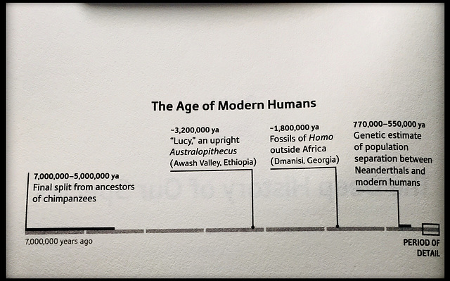 Age of modern humans