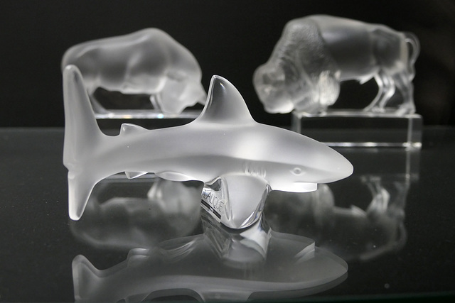 Lalique glass shark (Explored)