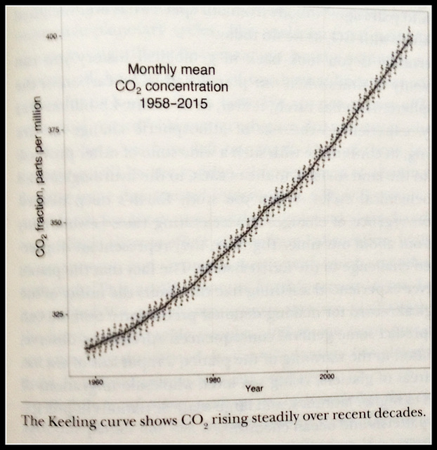 The Keeling curve of CO2