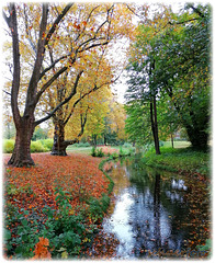 Herbststimmung im Sollbrüggenpark, Krefeld, Germany