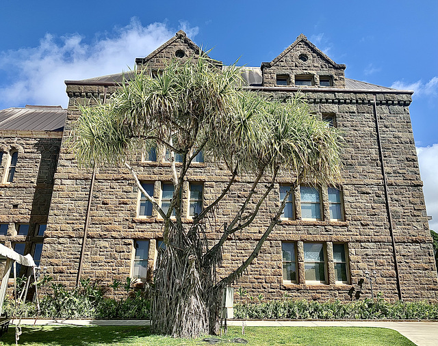 At the Bishop Museum