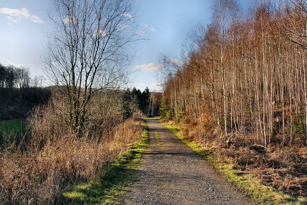 Weg am Schlebuscher Berg (Wetter) / 25.02.2023