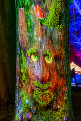 Christmas Garden, Pillnitz - 2025, Der Geist des Waldes Christmas Garden, Pillnitz - 2025, Der Geist des Waldes