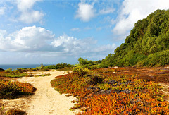 Praia da Samarra, Sintra, Portugal