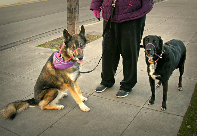 Bella and Jack