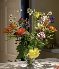Summer garden flowers...