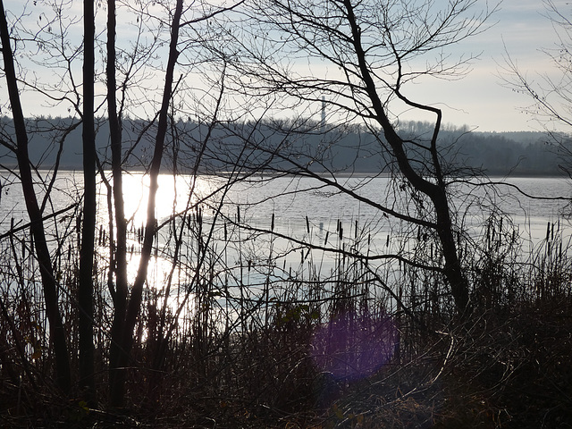 Eselweiher bei Teublitz