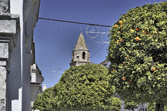 Bell Tower With Oranges – Calle San Juan, Medina-Sidonia, Cádiz Province, Andalucía, Spain