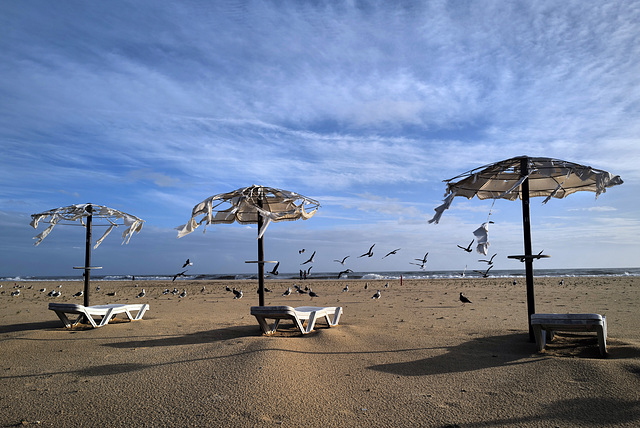 Monte Gordo Beach, Rain aftermath