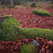 Wald im Wandviertel