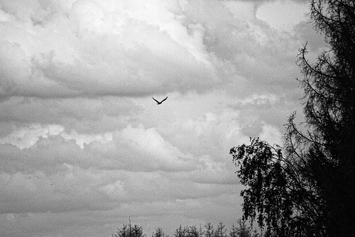 20230813_benneckenstein wandern