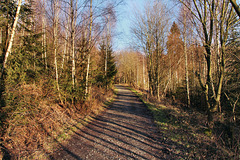 Waldweg am Schlebuscher Berg (Wetter) / 25.02.2023