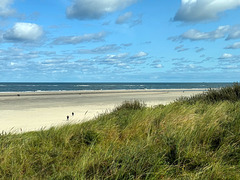 beachview-from-the-dunes