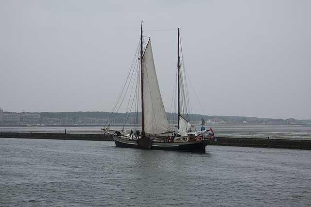 20140910 5119VRAw [NL] Segelschiff, Terschelling