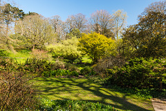 Dartington Hall Garden - 20150414