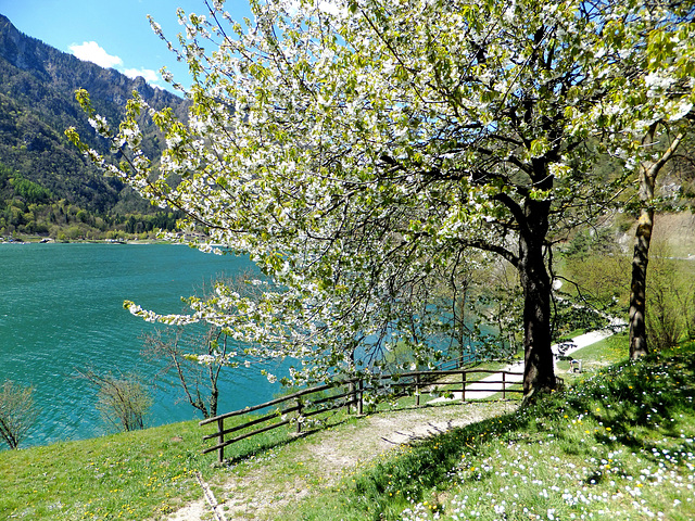 Frühling am Lago di Ledro. ©UdoSm