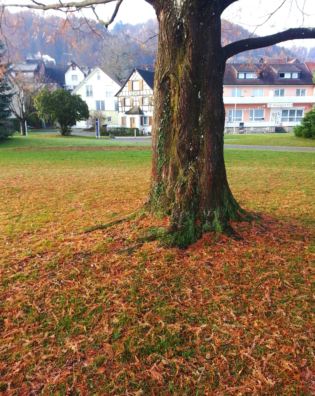 Herbstfarbe