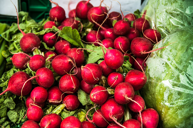 Radishes