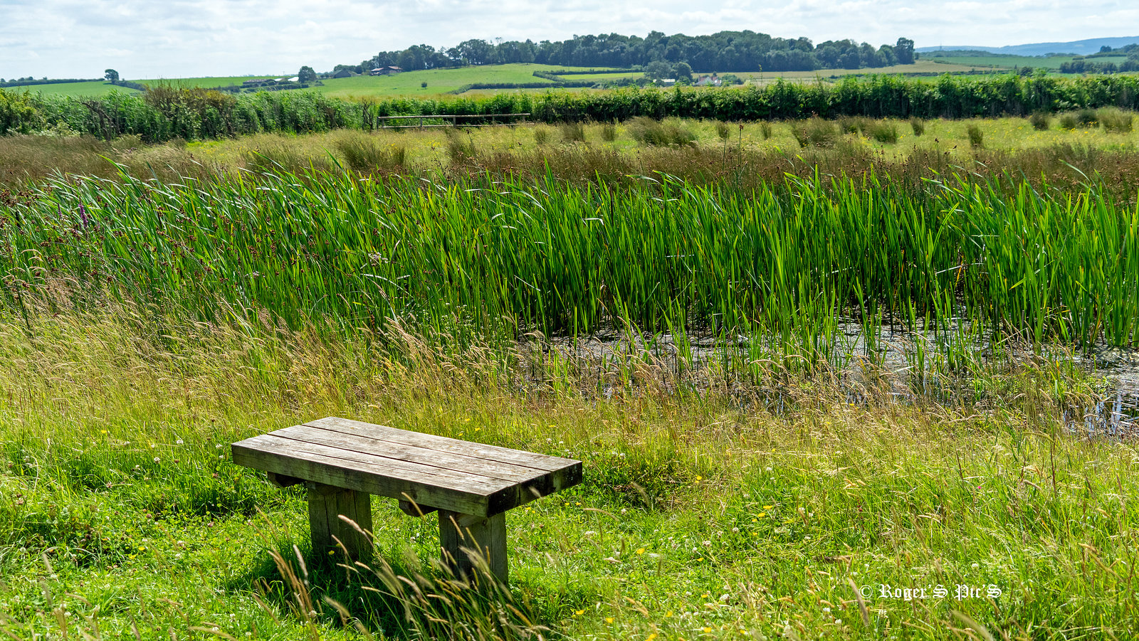 For Wildlife Watchers.