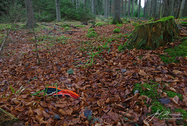 Wald im Wandviertel