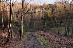 Lindenbecke, Wanderweg (Wetter) / 25.02.2023