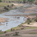 Tarangire River - Water for Animals