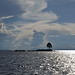 Bolivia, Titicaca Lake, A Lone Tree on the Islet