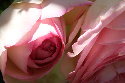 DSCF5495
