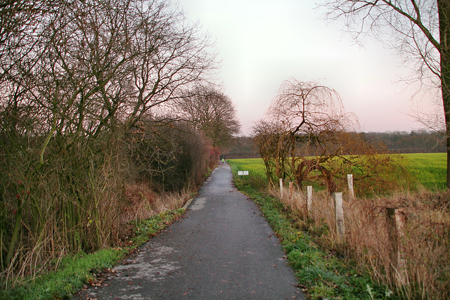 Radweg auf der ehem. Bahnstrecke Haltern–Venlo (Haltern-Lippramsdorf) / 12.12.2018