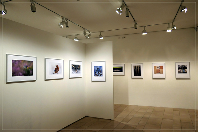 Fotoausstellung DFM 2019 (pip)