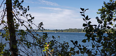 confluence Willamette & Columbia rivers