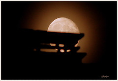 Bonne semaine mes ami(e)s !❤️