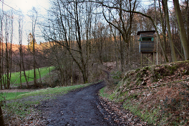 Waldweg an der Lindenbecke (Wetter) / 25.02.2023